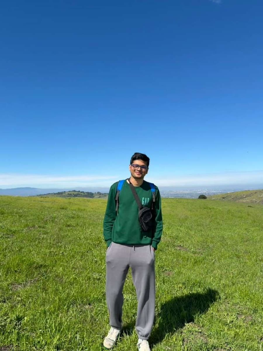 Panth standing in a green field by the coast